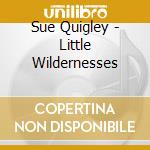 Sue Quigley - Little Wildernesses cd