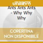 Ants Ants Ants - Why Why Why