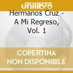 Hermanos Cruz - A Mi Regreso, Vol. 1