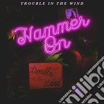 Trouble In The Wind - Hammer On