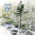 Decatur Creek - Rising