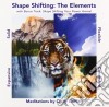 Cindy Griffith - Shape Shifting The Elements cd