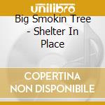Big Smokin Tree - Shelter In Place cd musicale