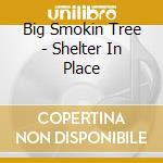 Big Smokin Tree - Shelter In Place cd