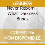 Never Reborn - What Darkness Brings cd