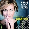 Irene Grandi - Un Vento Senza Nome cd