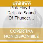 Pink Floyd - Delicate Sound Of Thunder (Live) cd