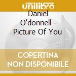 Daniel O'donnell - Picture Of You cd