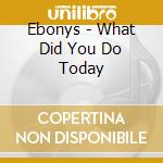 Ebonys - What Did You Do Today cd