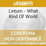 Linturn - What Kind Of World cd
