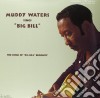 Muddy Waters - Muddy Waters Sings Big Bill cd