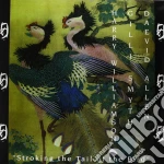 (LP VINILE) Stroking the tail of the bird cd