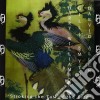 (LP VINILE) Stroking the tail of the bird cd