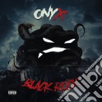(LP Vinile) Onyx - Black Rock