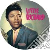 (LP Vinile) Little Richard - Tutti Frutti - Greatest Hits (Picture Disc) cd