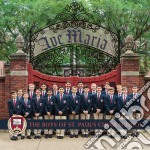 Boys Of St. Paul's Choir School (The): Ave Maria