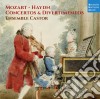 Wolfgang Amadeus Mozart / Joseph Haydn - Concertos & Divertimentos cd