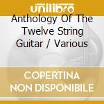 Anthology Of The Twelve String Guitar / Various cd