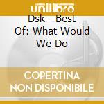 Dsk - Best Of: What Would We Do cd