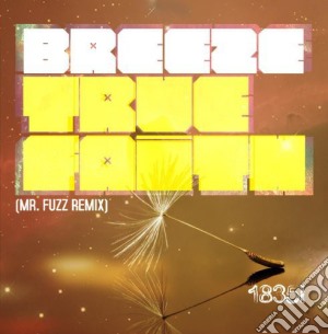 Breeze - True Faith (Mr Fuzz Remix) cd musicale di Breeze