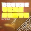Breeze - True Faith (Mr Fuzz Remix) cd