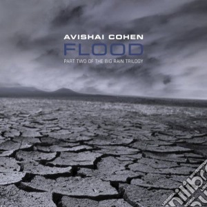 Avishai Cohen - Flood cd musicale di Avishai Cohen