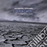 Avishai Cohen - Flood cd