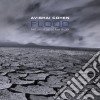 Avishai Cohen - Flood cd
