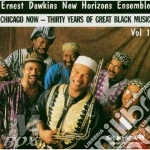 Chicago now,vol.one cd