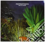 Houndstooth - Ride Out The Dark cd