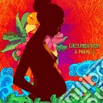 Groundation - A Miracle cd