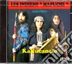 Kalfucanelo - Les Indiens Mapuche, Sud-Chili