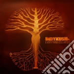 Indykush - Everything Collapses cd