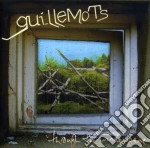 Guillemots - Through The Window Pane cd