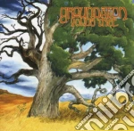 Groundation - Young Tree cd