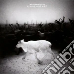 Melissa Laveaux - Dying Is A Wild Night cd