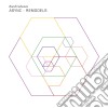 (LP Vinile) Ryuichi Sakamoto - Async Remodels (2 Cd) cd