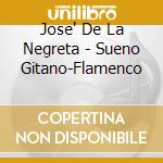 Jose' De La Negreta - Sueno Gitano-Flamenco cd