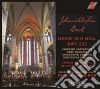 Johann Sebastian Bach - Messe In H Moll (2 Cd) cd musicale di Vigneron Pascal