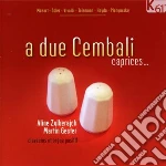 A Due Cembali -Brani Per Due Clavicembali O Per Clavicembalo E Organo Positivo cd