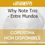 Why Note Trio - Entre Mundos cd