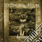 Bollenberg Experience - If Only Stones Could Speak cd