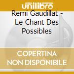 Remi Gaudillat - Le Chant Des Possibles cd