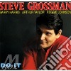 Grossman Steve - Do It cd