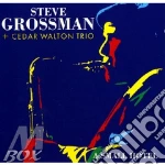 Grossman Steve, Walton Cedar - A Small Hotel cd
