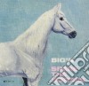 Big'n - Spare The Horses (10') cd