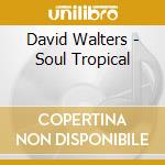 David Walters - Soul Tropical cd musicale