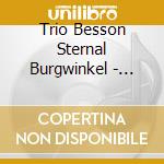 Trio Besson Sternal Burgwinkel - Surprise ! cd