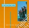 (LP Vinile) Chokebore - Anything Near Water cd