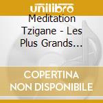Meditation Tzigane - Les Plus Grands Succes cd